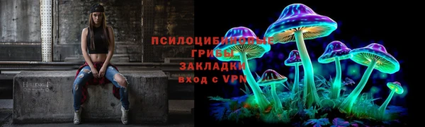сатива Абаза