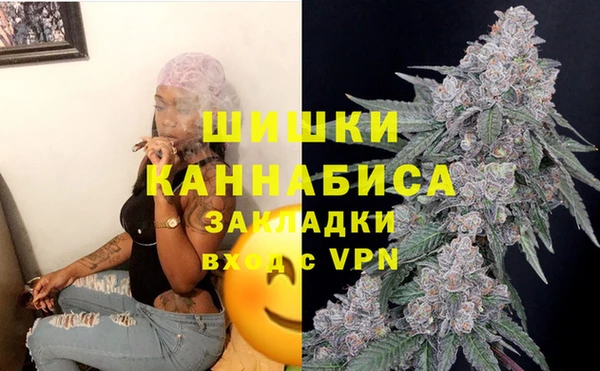 сатива Абаза