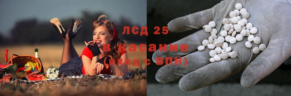 сатива Абаза