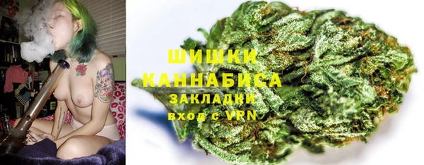 сатива Абаза