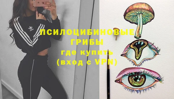 сатива Абаза